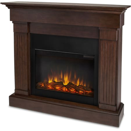A large image of the Real Flame 8020E Chestnut Oak
