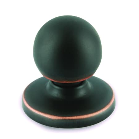 A large image of the Richelieu BP3922 Brushed Oil-Rubbed Bronze