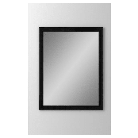 A large image of the Robern DC2430D4BMGLE Mirrored with Brushed Black Frame