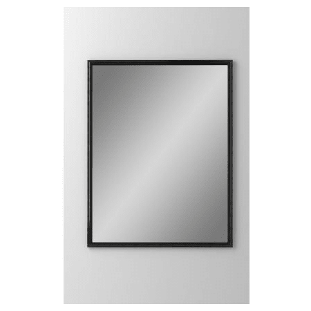 A large image of the Robern DC2430D6RMG Mirrored with Brushed Black Frame