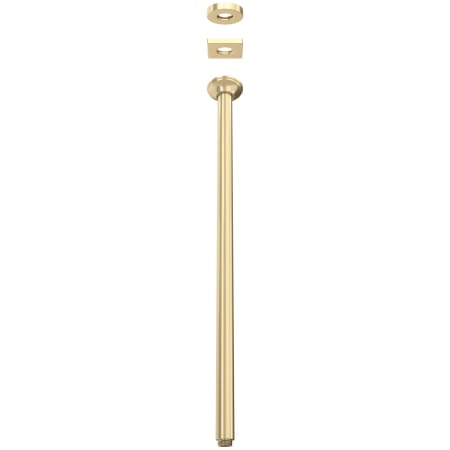 A large image of the Rohl 1505/24 Antique Gold