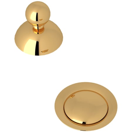 A large image of the Rohl CNZREMOTE Italian Brass