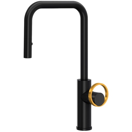 A large image of the Rohl EC56D1+EC81IW Matte Black / Satin Gold