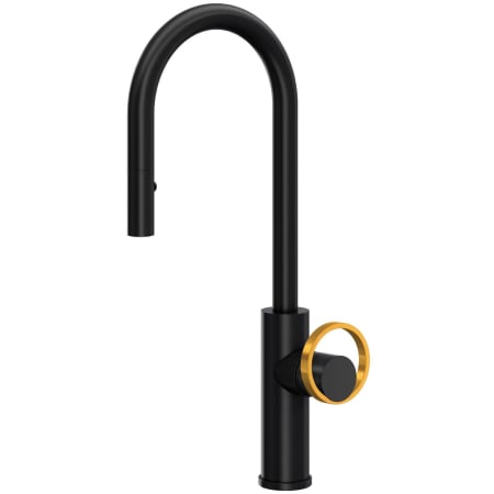 A large image of the Rohl EC65D1+EC81IW Matte Black / Satin Gold
