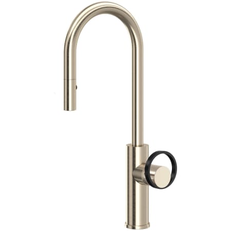 A large image of the Rohl EC65D1+EC81IW Satin Nickel / Matte Black