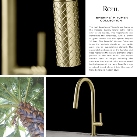 A large image of the Rohl TE55D1LM Infographic