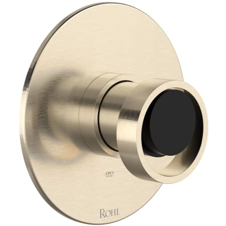 A large image of the Rohl TEC51W1IW Satin Nickel / Matte Black