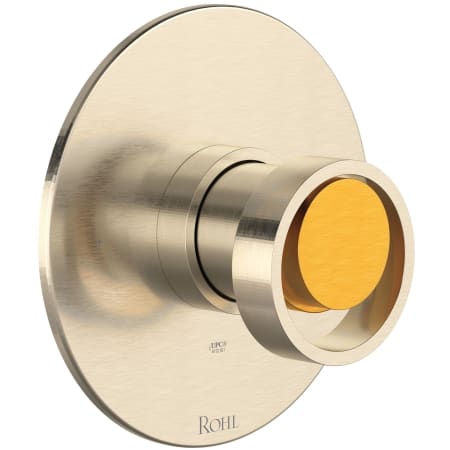 A large image of the Rohl TEC51W1IW Satin Nickel / Satin Gold