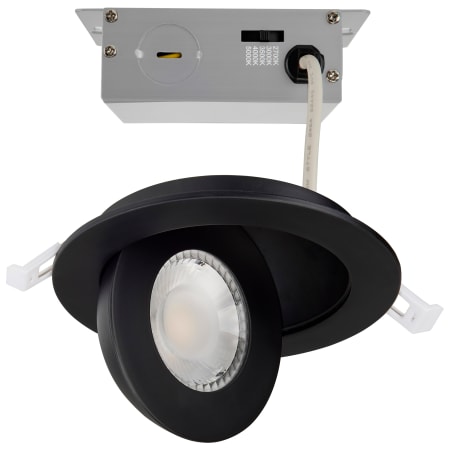 A large image of the Satco Lighting S11842 Black