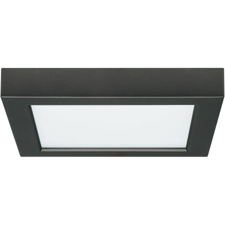 A large image of the Satco Lighting S21538 Black
