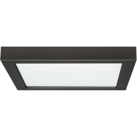 A large image of the Satco Lighting S21539 Black