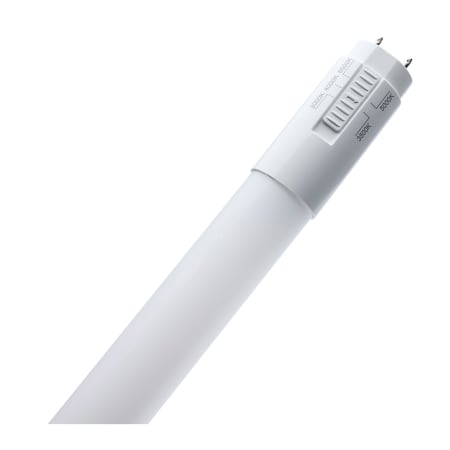 A large image of the Satco Lighting S21916 Alternate Image
