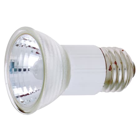A large image of the Satco Lighting S3114 Clear