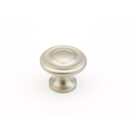 A large image of the Schaub and Company 703-10PACK Satin Nickel