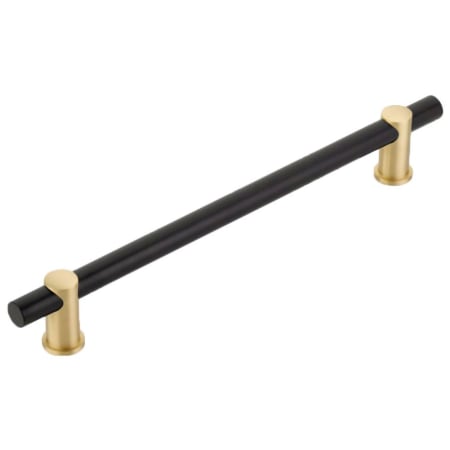 A large image of the Schaub and Company CS422 Matte Black / Satin Brass