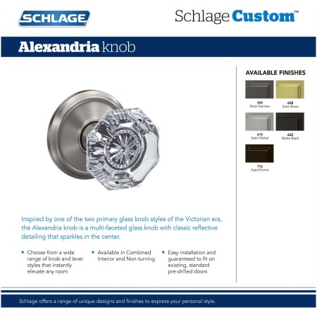 A large image of the Schlage FC172-ALX-ALD Alternate View