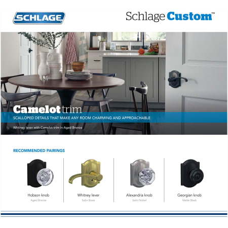 A large image of the Schlage FC21-WIT-CAM Alternate View