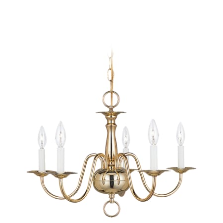 A large image of the Sea Gull Lighting 3313 Shown in Polished Brass