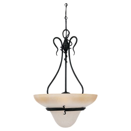 A large image of the Sea Gull Lighting 6614 Shown in Forged Iron