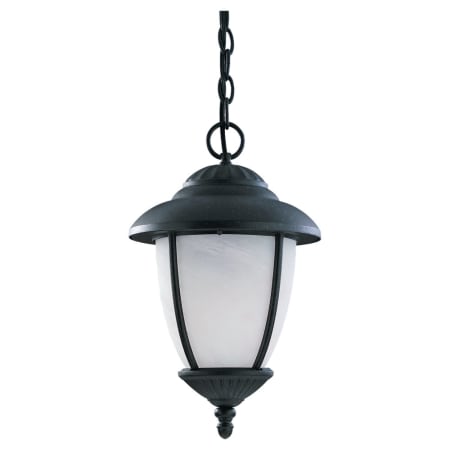 A large image of the Sea Gull Lighting 69248PBLE Black