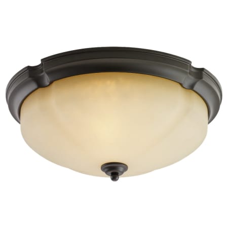 A large image of the Sea Gull Lighting 75474 Shown in Heirloom Bronze