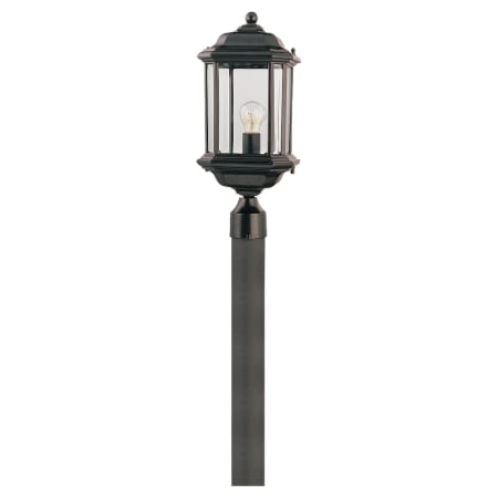 A large image of the Sea Gull Lighting 82029 Shown in Black