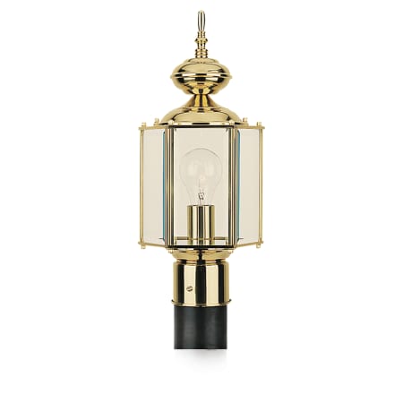 A large image of the Sea Gull Lighting 8209 Shown in Polished Brass