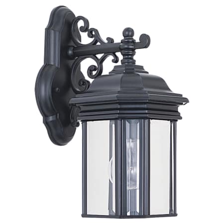 A large image of the Sea Gull Lighting 8835 Shown in Black