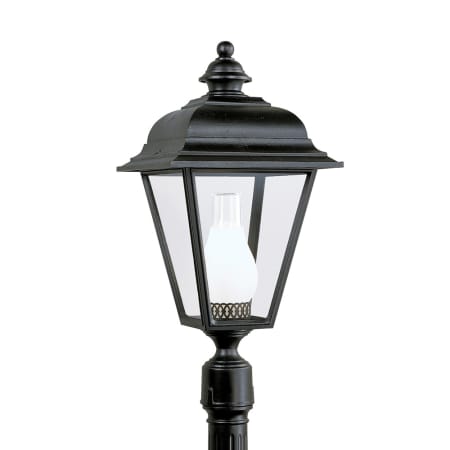 A large image of the Sea Gull Lighting 8216 Black