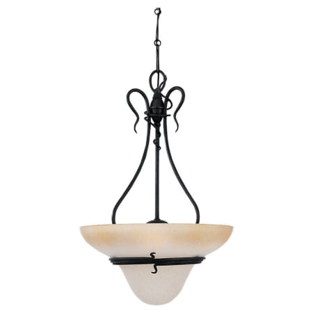 A large image of the Sea Gull Lighting 6614 Forged Iron