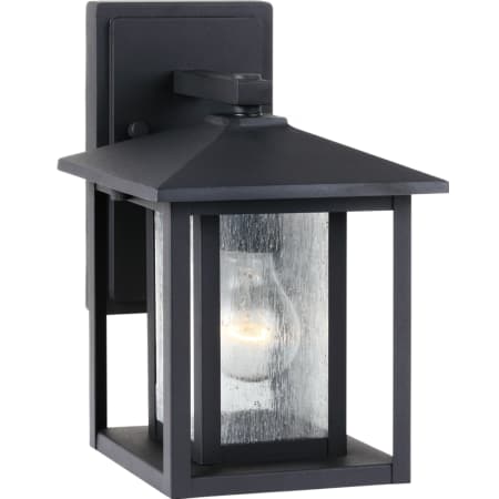 A large image of the Sea Gull Lighting 88025 Black