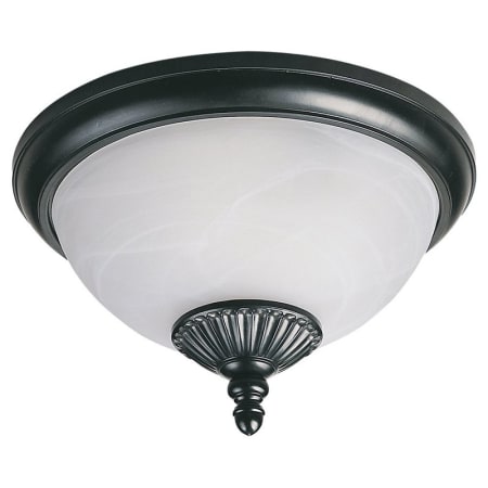 A large image of the Sea Gull Lighting 89248PBLE Black