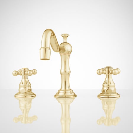 A large image of the Signature Hardware 927248 Polished Brass