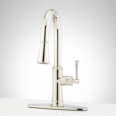 A large image of the Signature Hardware 949844 Polished Nickel