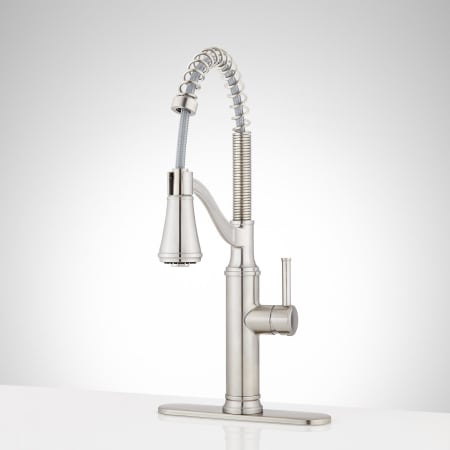 A large image of the Signature Hardware 950738 Stainless with Escutcheon