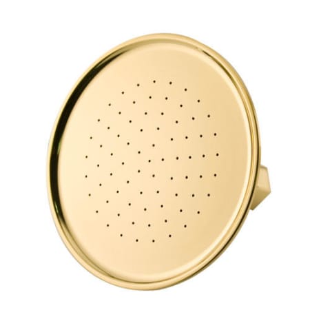 A large image of the Signature Hardware 942202 Polished Brass