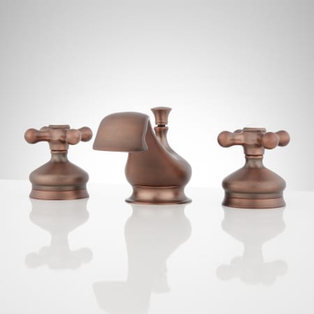 A large image of the Signature Hardware 900900 Oil Rubbed Bronze