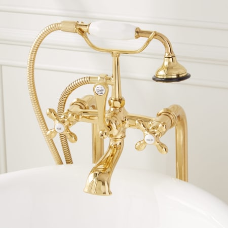 A large image of the Signature Hardware 904811-34 Polished Brass
