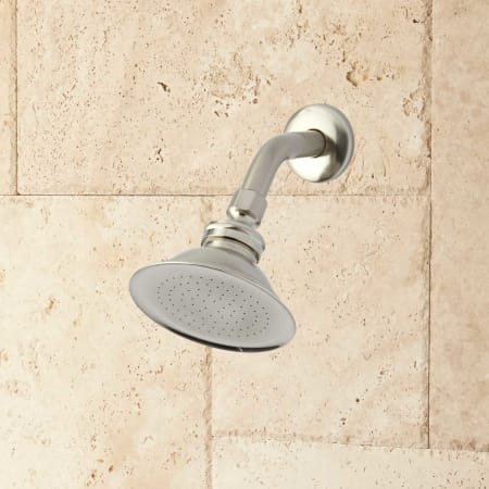 A large image of the Signature Hardware 900859-8 Brushed Nickel