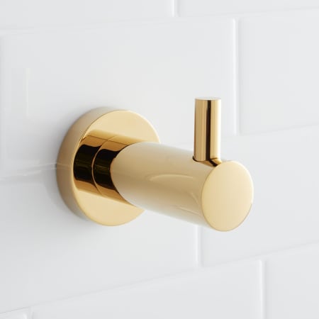 A large image of the Signature Hardware 916739 Polished Brass
