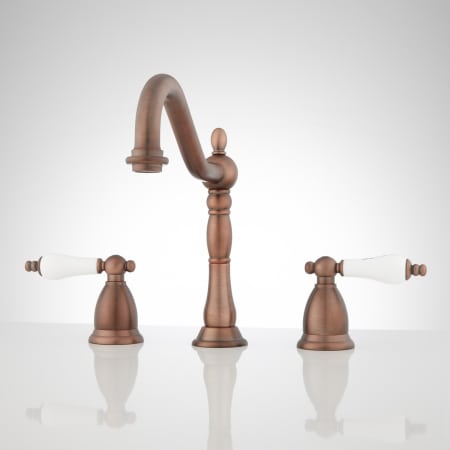 A large image of the Signature Hardware 900907 Oil Rubbed Bronze