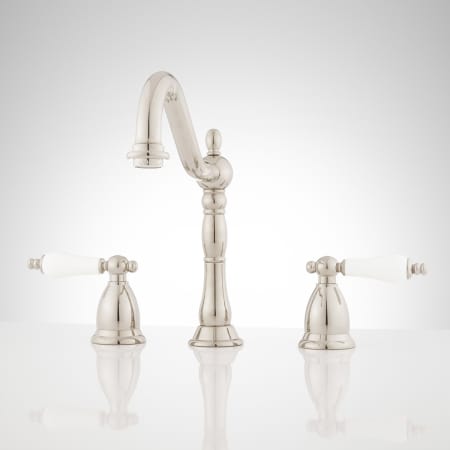 A large image of the Signature Hardware 900907 Polished Nickel