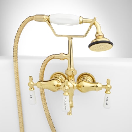 A large image of the Signature Hardware 900478 Polished Brass