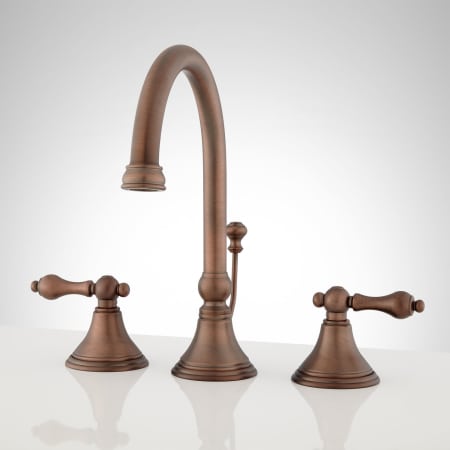 A large image of the Signature Hardware 918898 Oil Rubbed Bronze