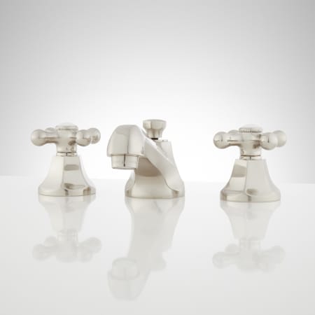 A large image of the Signature Hardware 918900 Brushed Nickel