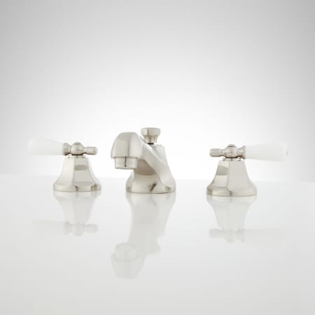 A large image of the Signature Hardware 918901 Brushed Nickel
