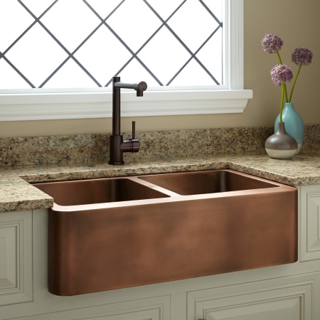 A large image of the Signature Hardware 353274 Antique Copper