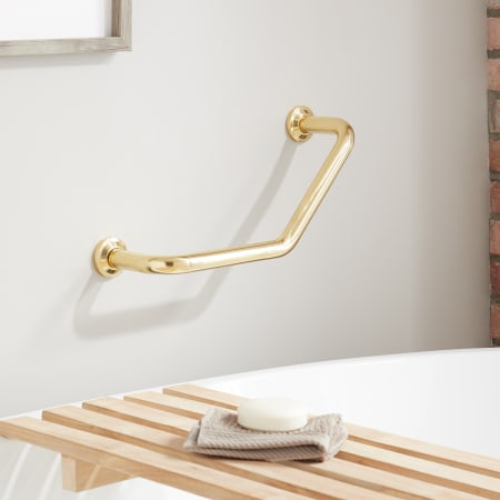 A large image of the Signature Hardware 921738 Polished Brass