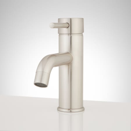A large image of the Signature Hardware 921364 Brushed Nickel
