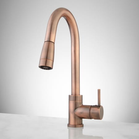 A large image of the Signature Hardware 920401 Antique Copper